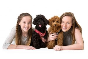 Dog Portraits - Landing Page 4 Dog Portraits - Landing Page 2