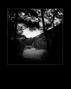 Lake dis. 0127