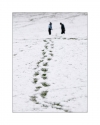 footprints-in-snow-hoss-photography
