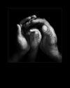 hands-man-child-hoss-photography