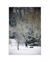 sledge-snow-hoss-photography