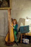 IMG_0951 IMG_0951