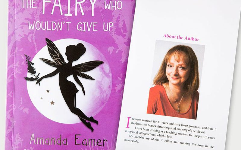 The Fairy Who Wouldn't Give Up - Amanda Eames