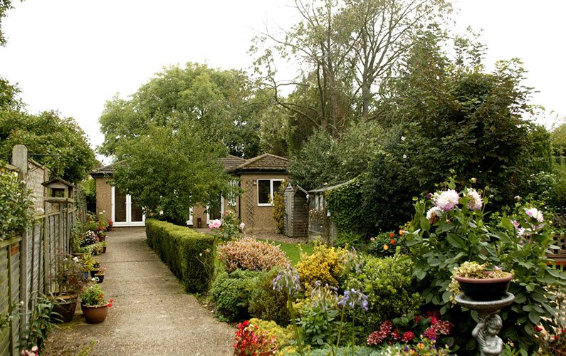 Welcome to Our Garden Studio — Where Magic Happens 1