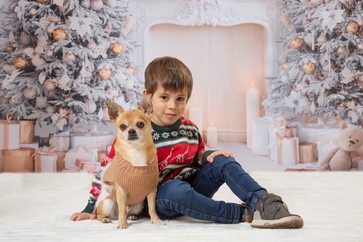 Christmas is Coming 13