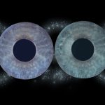 Iris Portraits 2 Iris Portraits 2