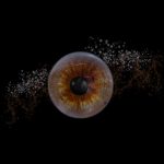 Iris Portraits 3 Iris Portraits 3