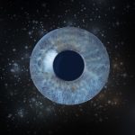 Iris Portraits 4 Iris Portraits 4