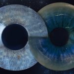 Iris Portraits 5 Iris Portraits 5