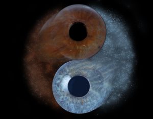 Iris Portraits 1 Iris Portraits 1