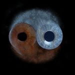 Iris Portraits 6 Iris Portraits 6